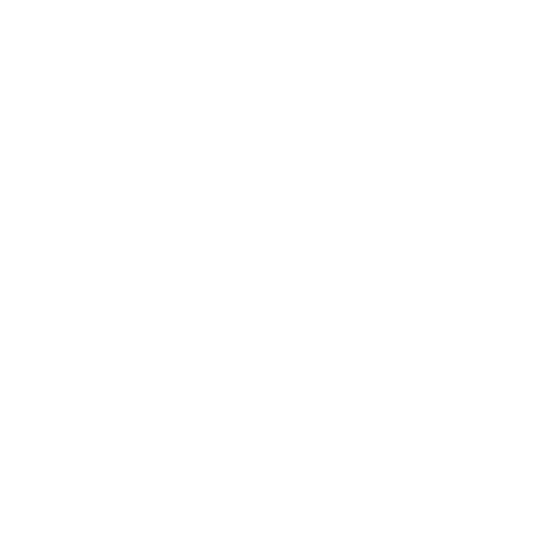 Logo RS Cicik